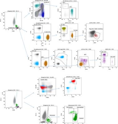 Comprehensive Assessment of Selected Immune Cell Subpopulations Changes in Chemotherapy-Naïve Germ Cell Tumor Patients